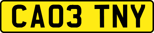 CA03TNY