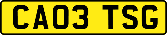CA03TSG