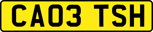 CA03TSH