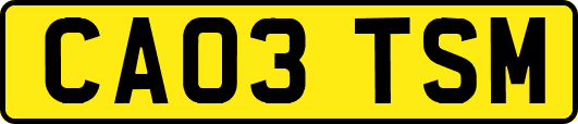 CA03TSM