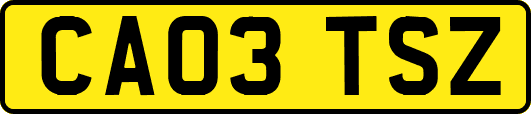 CA03TSZ