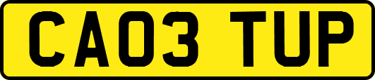 CA03TUP