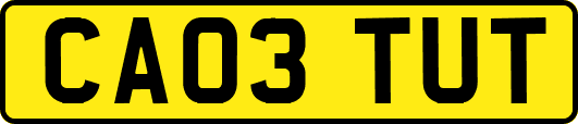 CA03TUT