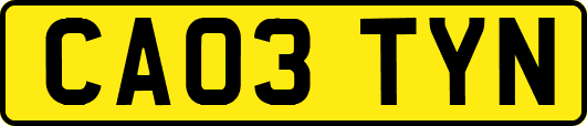 CA03TYN