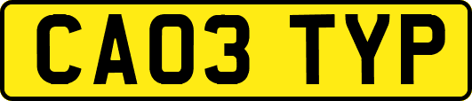 CA03TYP