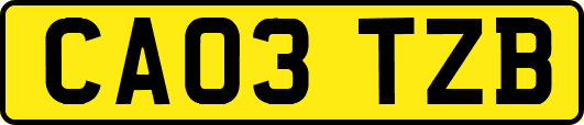 CA03TZB