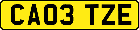 CA03TZE