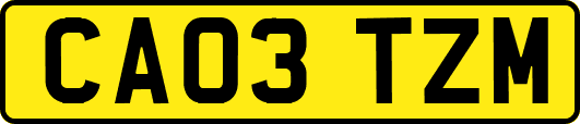 CA03TZM