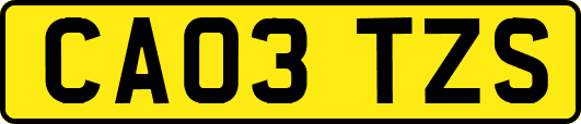 CA03TZS
