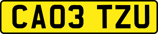 CA03TZU