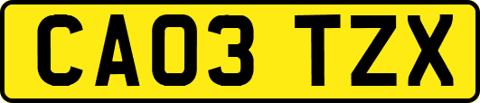 CA03TZX