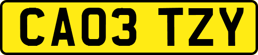 CA03TZY