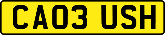 CA03USH