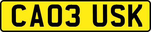 CA03USK