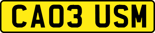 CA03USM