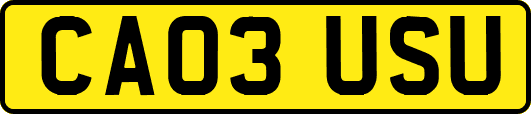 CA03USU