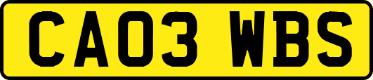 CA03WBS