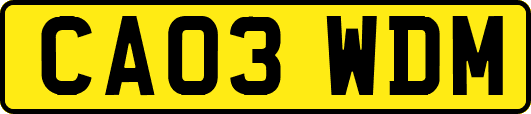 CA03WDM