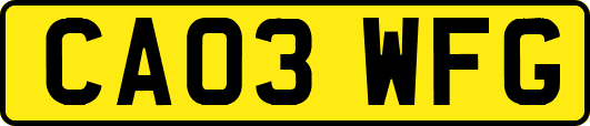 CA03WFG