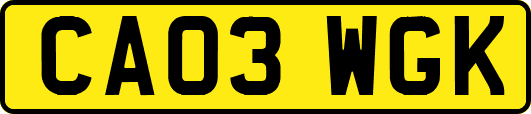 CA03WGK