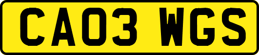 CA03WGS