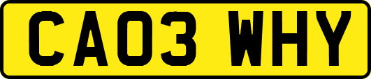 CA03WHY