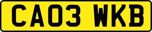 CA03WKB