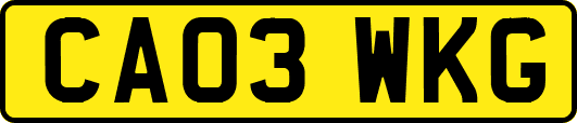 CA03WKG