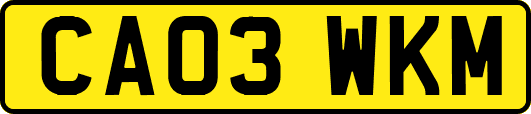 CA03WKM