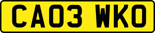 CA03WKO