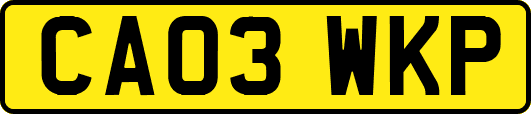 CA03WKP