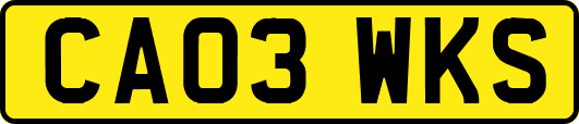CA03WKS