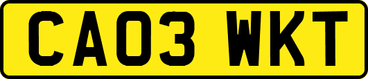 CA03WKT