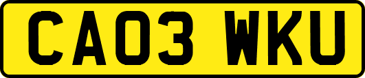 CA03WKU