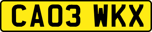 CA03WKX