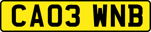 CA03WNB