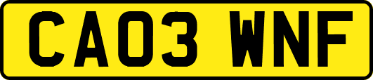CA03WNF