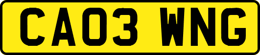 CA03WNG