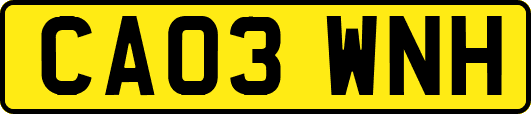 CA03WNH