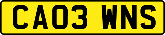 CA03WNS