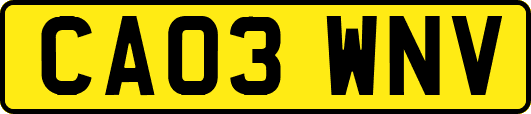 CA03WNV