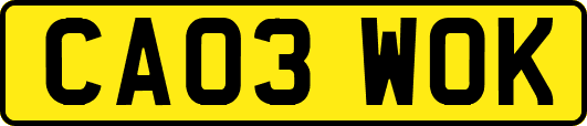 CA03WOK