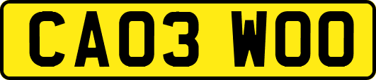 CA03WOO