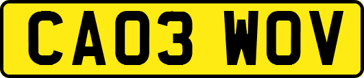 CA03WOV