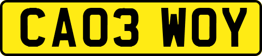 CA03WOY