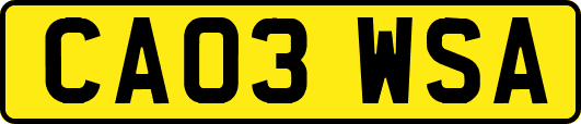 CA03WSA