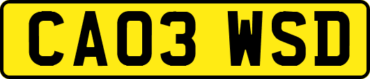 CA03WSD