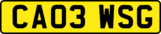 CA03WSG