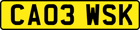 CA03WSK