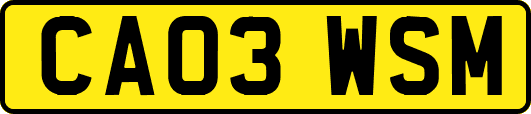 CA03WSM